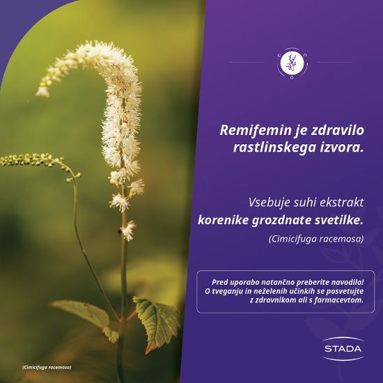 Slika Remifemin (60 tablet)